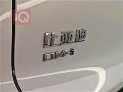 بي واي دي ‎سونغ برو DM-i